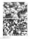 Fig. 11 - Nanometer-size zeolitic particles and method for the production thereof