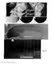 Fig. 09 - Synthesis of effective carbon nanoreinforcements for structural applications