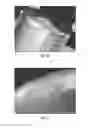 Fig. 06 - Method for three-dimensional fabrication with feed-through carrier