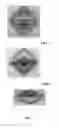 Fig. 02 - Article with curved patterns formed of aligned pigment flakes
