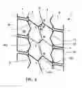 Fig. 03 - Tire tread comprising cutouts of different depths