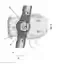 Fig. 25 - BRAKING AND CENTERING MECHANISMS FOR FOOT-DECK-BASED VEHICLES