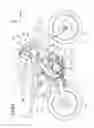 Fig. 09 - Saddle riding vehicle