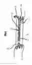 Fig. 04 - Beverage Container Cover