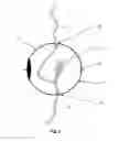 Fig. 07 - Device for deterring abuse of drugs