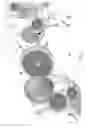 Fig. 08 - INFUSED BEVERAGE DISPENSER