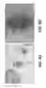 Fig. 06 - SULFIDES ELECTROLYTE FOR METAL PROCESSING AND EXTRACTION