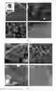 Fig. 02 - Carbon-based porous material and preparation method and use thereof