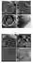 Fig. 07 - Carbon-based porous material and preparation method and use thereof