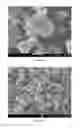 Fig. 03 - Oligomerization process involving crystalline molecular sieve