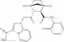 Fig. 100 - THERAPEUTIC INHIBITORY COMPOUNDS