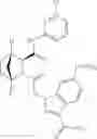 Fig. 168 - THERAPEUTIC INHIBITORY COMPOUNDS