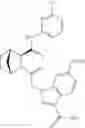 Fig. 169 - THERAPEUTIC INHIBITORY COMPOUNDS
