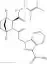 Fig. 181 - THERAPEUTIC INHIBITORY COMPOUNDS