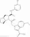 Fig. 216 - THERAPEUTIC INHIBITORY COMPOUNDS
