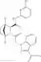 Fig. 47 - THERAPEUTIC INHIBITORY COMPOUNDS