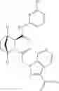 Fig. 48 - THERAPEUTIC INHIBITORY COMPOUNDS