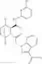 Fig. 61 - THERAPEUTIC INHIBITORY COMPOUNDS