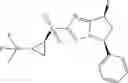 Fig. 239 - Bicyclic sulfones and sulfoxides and methods of use thereof