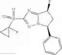 Fig. 265 - Bicyclic sulfones and sulfoxides and methods of use thereof