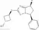 Fig. 294 - Bicyclic sulfones and sulfoxides and methods of use thereof