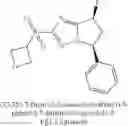 Fig. 552 - Bicyclic sulfones and sulfoxides and methods of use thereof