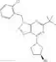 Fig. 32 - [1,2,3]triazolo[4,5-D]pyrimidine derivatives with affinity for the type-2 cannabinoid receptor