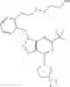 Fig. 67 - [1,2,3]triazolo[4,5-D]pyrimidine derivatives with affinity for the type-2 cannabinoid receptor