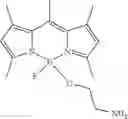 Fig. 85 - BODIPY dyes for biological imaging