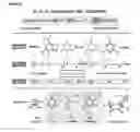 Fig. 03 - Complexes for nucleophilic, radical, and electrophilic polyfluoroalkylation
