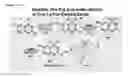 Fig. 07 - Complexes for nucleophilic, radical, and electrophilic polyfluoroalkylation