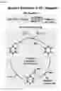 Fig. 08 - Complexes for nucleophilic, radical, and electrophilic polyfluoroalkylation