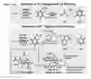 Fig. 09 - Complexes for nucleophilic, radical, and electrophilic polyfluoroalkylation