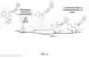 Fig. 06 - Quinone methide analog signal amplification