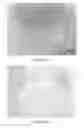 Fig. 28 - Quinone methide analog signal amplification