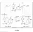 Fig. 32 - Quinone methide analog signal amplification