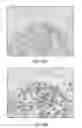 Fig. 35 - Quinone methide analog signal amplification