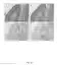 Fig. 43 - Quinone methide analog signal amplification