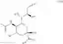 Fig. 17 - Sialic acid analogs