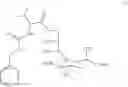 Fig. 32 - Sialic acid analogs