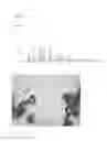 Fig. 02 - Crystalline polymorph of 15B-hydroxy-osaterone acetate