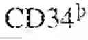 Fig. 02 - CAPSID-MODIFIED RAAV VECTOR COMPOSITIONS AND METHODS THEREFOR