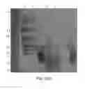 Fig. 22 - Glycoprotein hormone long-acting superagonists