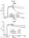 Fig. 08 - CTLA4-IG immunoadhesins