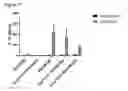 Fig. 08 - TSLP inhibitors