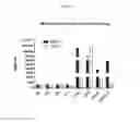 Fig. 04 - Compound that specifically binds to KIR3DL2 for use in the treatment of peripheral T cell lymphoma