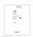 Fig. 07 - GALECTIN IMMUNOTHERAPY