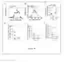 Fig. 15 - GALECTIN IMMUNOTHERAPY