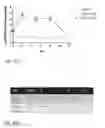 Fig. 49 - Anti-sortilin antibodies and methods of use thereof