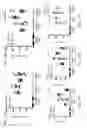 Fig. 63 - Anti-sortilin antibodies and methods of use thereof